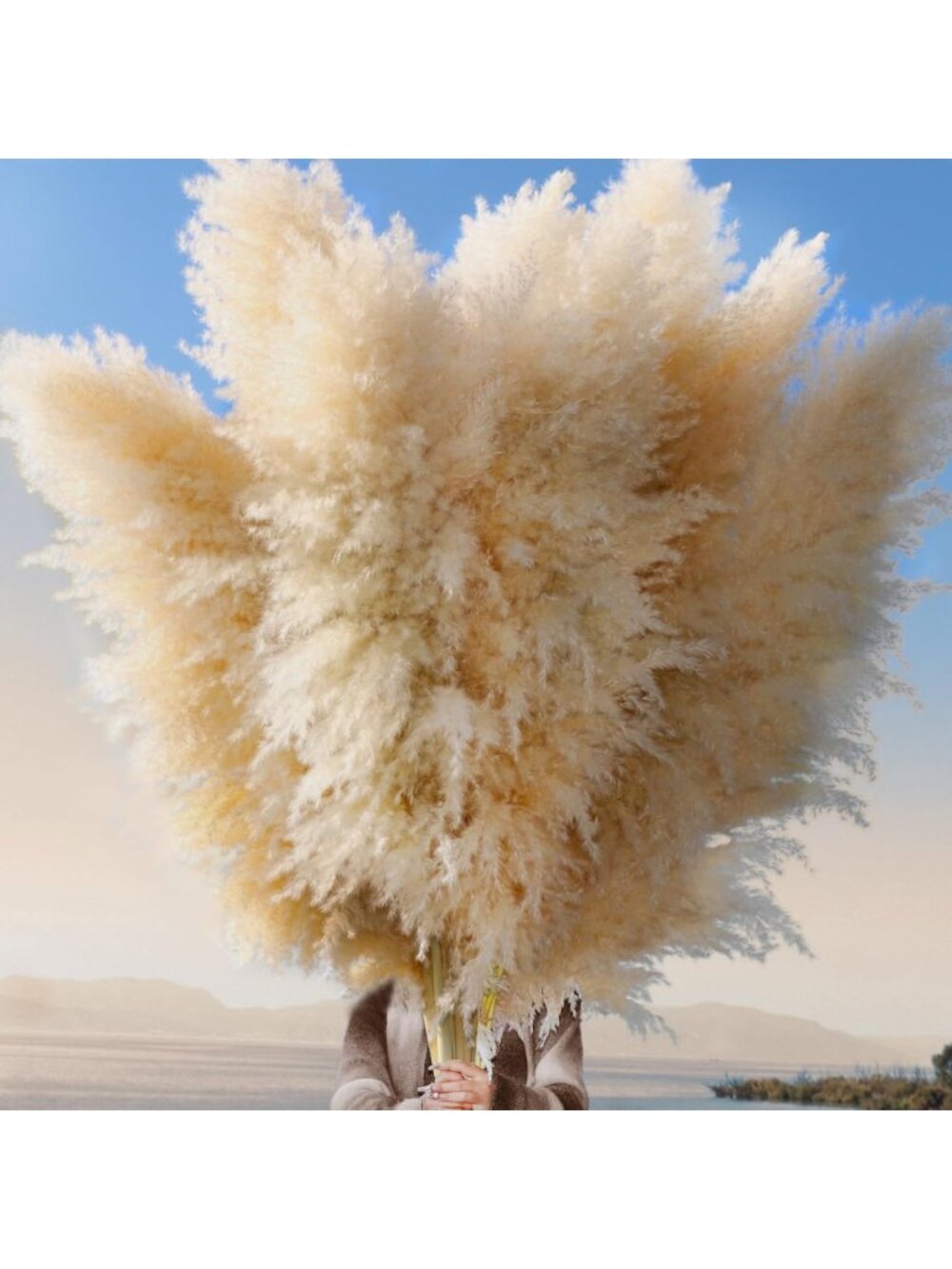 40-Inch Dried Pampas Grass Stems - 12Pcs Fluffy Decor for Home & Weddings